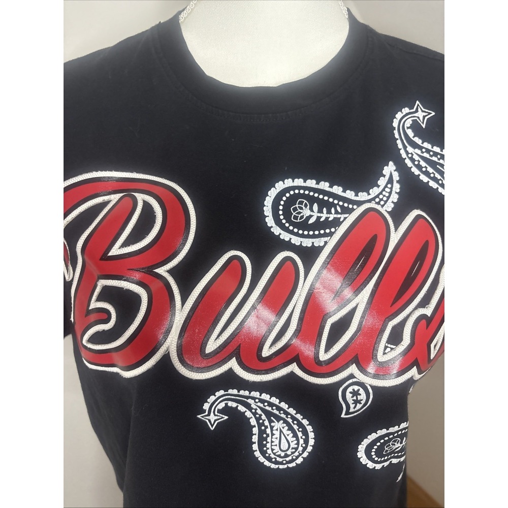 Chicago Bulls Paisly Shirt NBA Embroidered Urban Wear - Picture 4 of 6